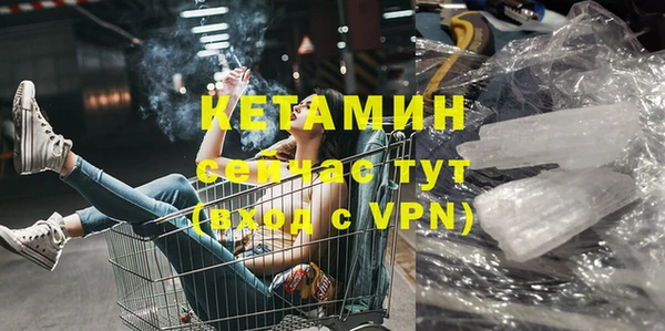 стафф Новозыбков