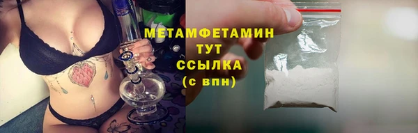 шишки Верхний Тагил