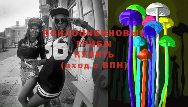 стафф Новозыбков
