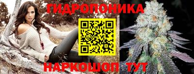 шишки Балашиха
