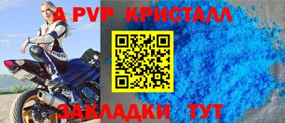 шишки Балашиха