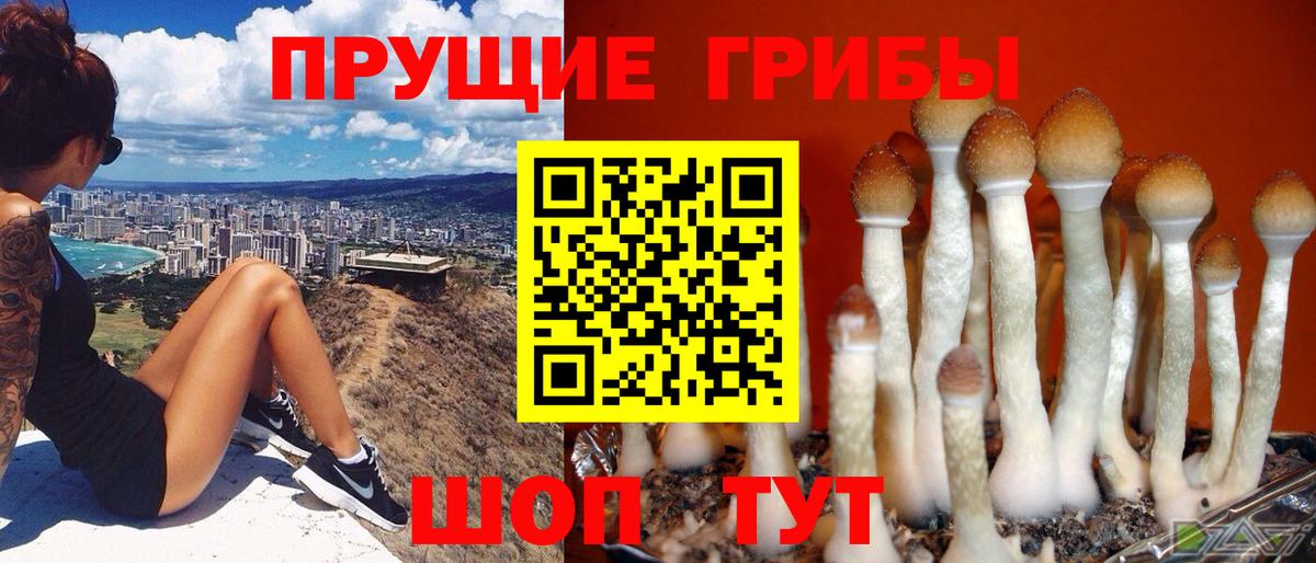 Батайск  Псилоцибиновые грибы MAGIC MUSHROOMS  Вход с VPN 
